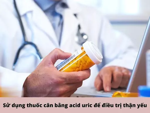 dieu-tri-suy-than-man-nho-thuoc-can-bang-acid-uric.webp